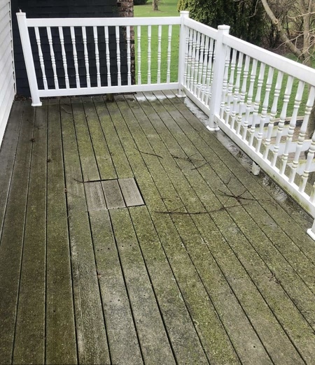 Deck & Fence Cleaning
