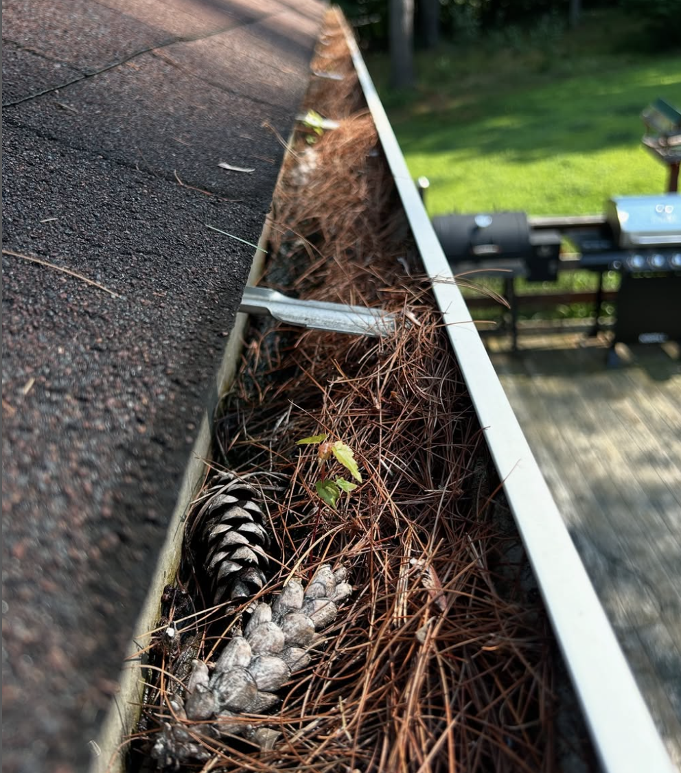 Gutter & Eaves Washing